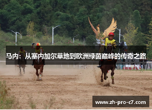 马内：从塞内加尔草地到欧洲绿茵巅峰的传奇之路