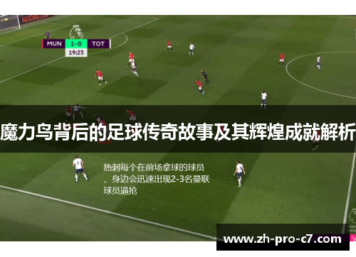 魔力鸟背后的足球传奇故事及其辉煌成就解析