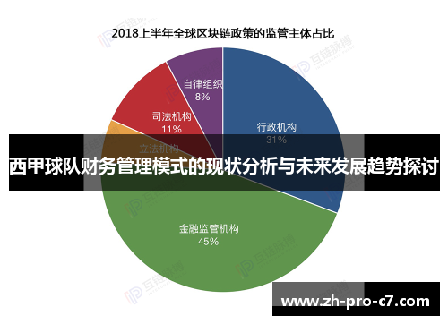 西甲球队财务管理模式的现状分析与未来发展趋势探讨